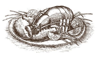 Lobster with lemon slices over white drawn by hand