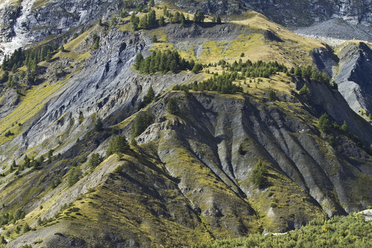 Colline Moreniche