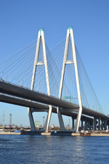 Cable-Stayed Bridge in St.Petersburg