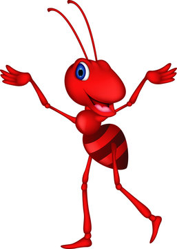 cute red ant cartoon