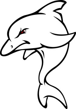 angry dolphin sketch
