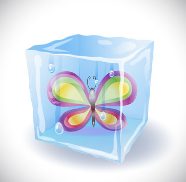 Ice cube with butterfly