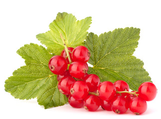 Red currants and green leaves still life