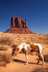 Raamstickers Horse and Monument Valley, VS © Pixelshop