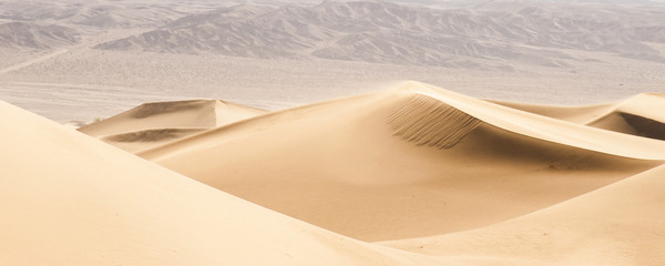 Fototapeta na wymiar Wydmy piaskowe na pustyni