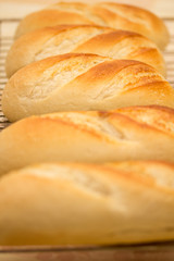 Bread