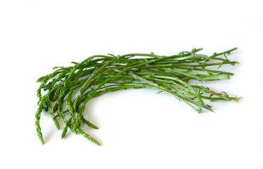Wild, thin and fresh asparagus on white background, isolated