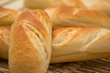 Bread