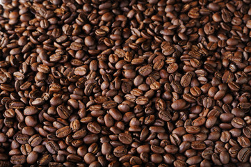 The Coffee