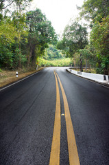 Smooth road to green forest
