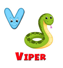 Fototapeta premium alfabeto, vipera