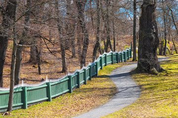 Fototapeta premium Oakforest with fence in spring