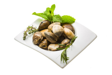Spanish mollusc - Almeja