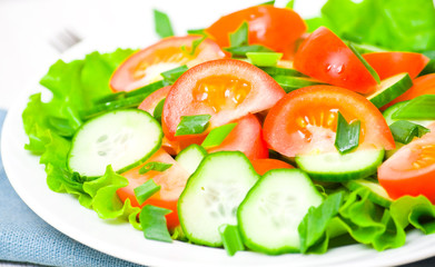 fresh vegetable salad on plate