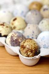 quail eggs