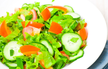 fresh vegetable salad on plate