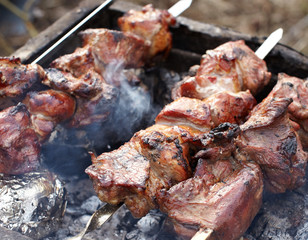 Shish kebab preparing on fire