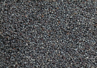 poppy seed  background