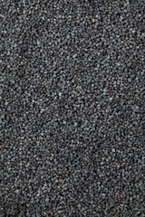 poppy seed  background