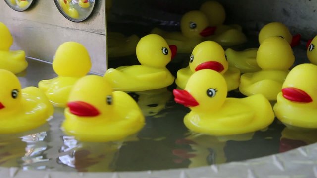 Rubber Ducky Toys Floating in Water with Mirror Reflection