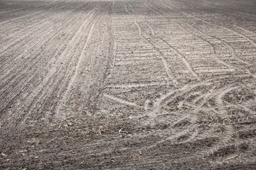 empty field background