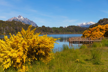 Spring in Patagonia