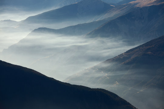 Mountain mist