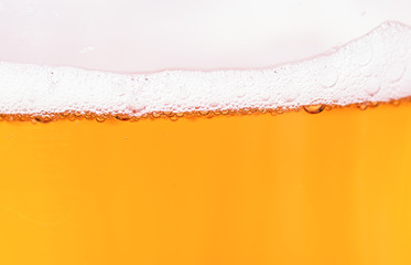 most refreshing beer in the world 8