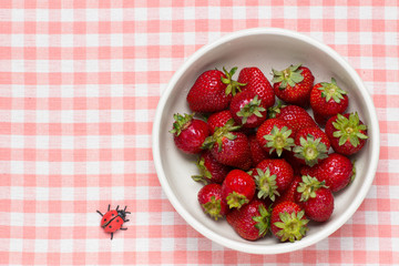 strawberries in a bowl and ladybird