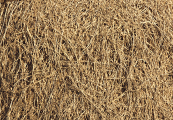 hay background