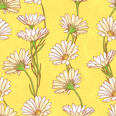 Image of camomiles printed on Printed Glass Splashbacks