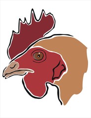 gallina