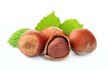 filbert nuts