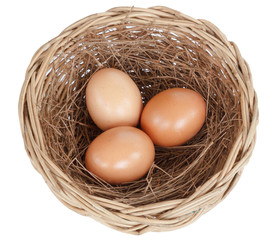 egg isolated on white background