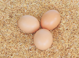egg on rice husk
