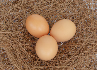 eggs on hay nest backgorund