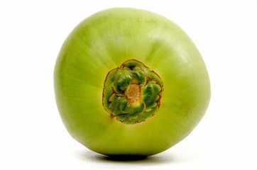Coconut isolated