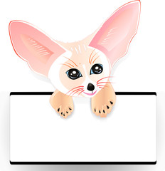 fennec with frame