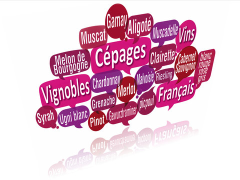 nuage de mots bulles 3d : c&eacute;pages de vins fran&ccedil;ais