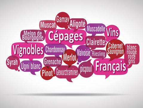 nuage de mots bulles : c&eacute;pages de vins fran&ccedil;ais