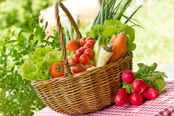 Full basket of fresh vegetables