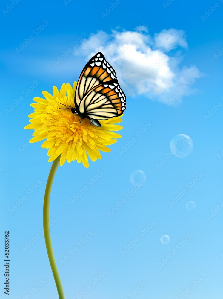 Fototapete Nature background with butterfly on a yellow dandelion. Vector.