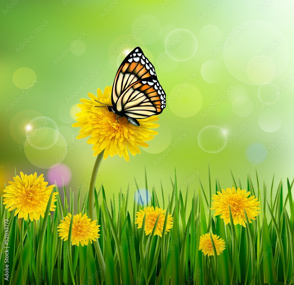 Poster green summer background with dandelions and a butterfly. vector.