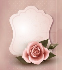 Retro greeting card with pink rose. Vector illustration