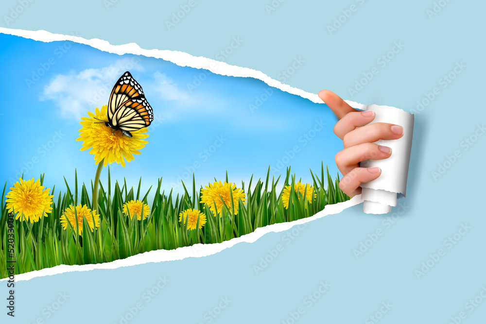 Aufkleber ripped paper background with dandelions field a butterfly. vecto