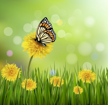 Green summer background with dandelions and a butterfly. Vector.