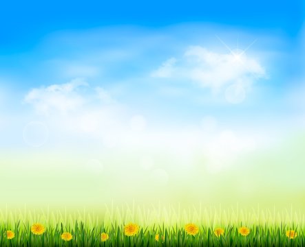 Summer gaze background with blue sky and a field of dandelions.