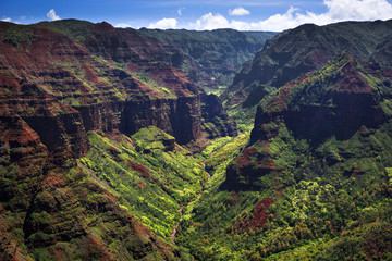 Fototapeta na wymiar Waimea Canyon na Kauai