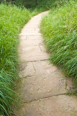 Obraz premium path and lawn in a park, China