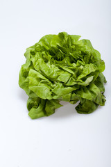 Fresh green Lettuce salad isolated on white background